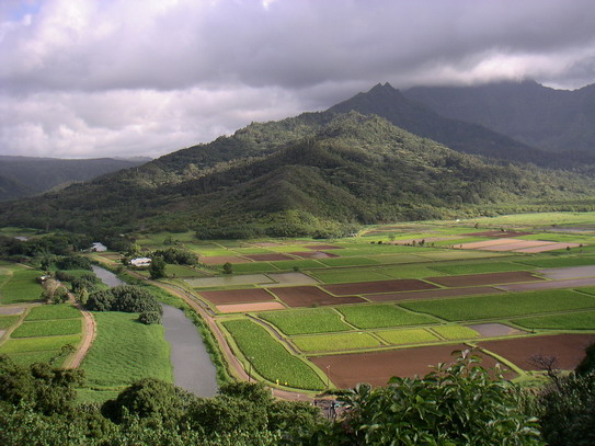 Kauai