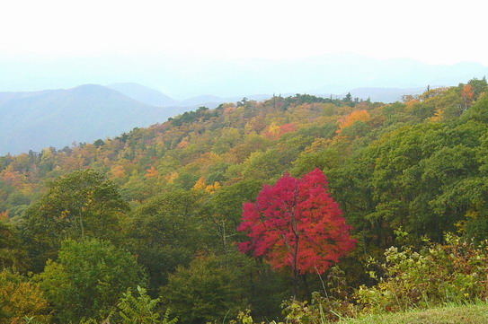 North-Carolina