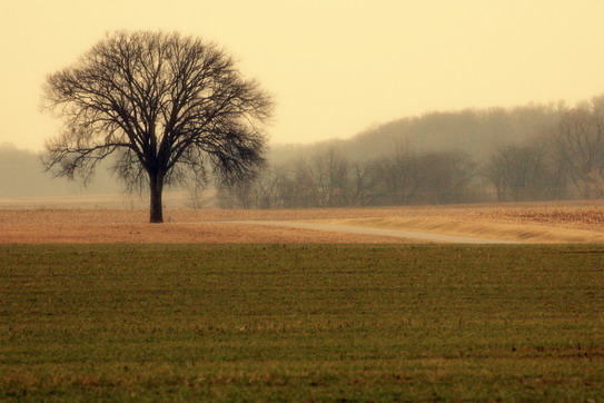 Ohio