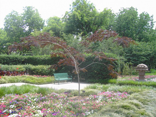 Dallas Arboretum