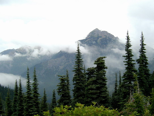 Olympic Peninsula